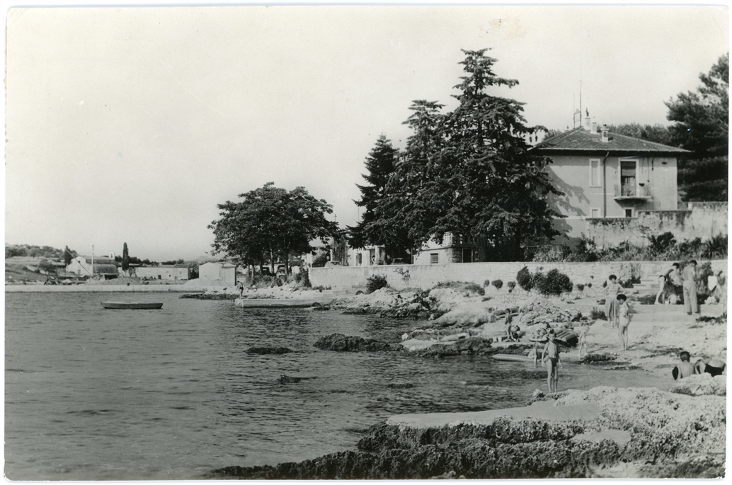 Image description